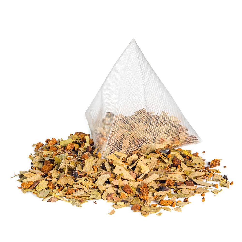 Natural Health Benefits of Ginkgo Biloba in Canada