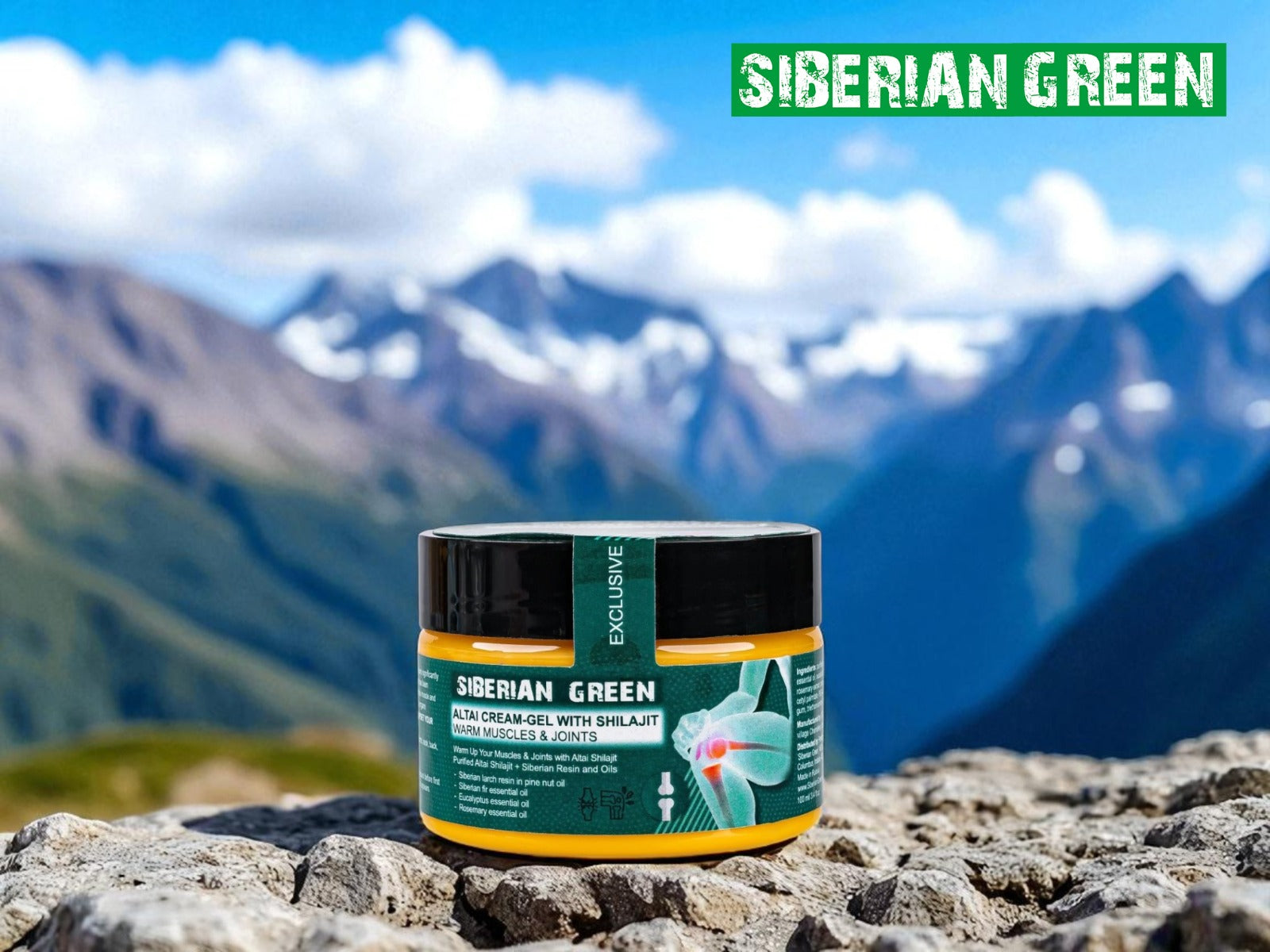 holistic joint health