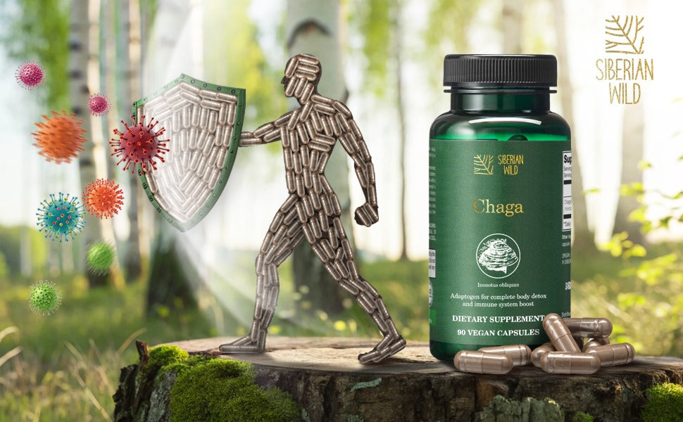Chaga mushroom immune support