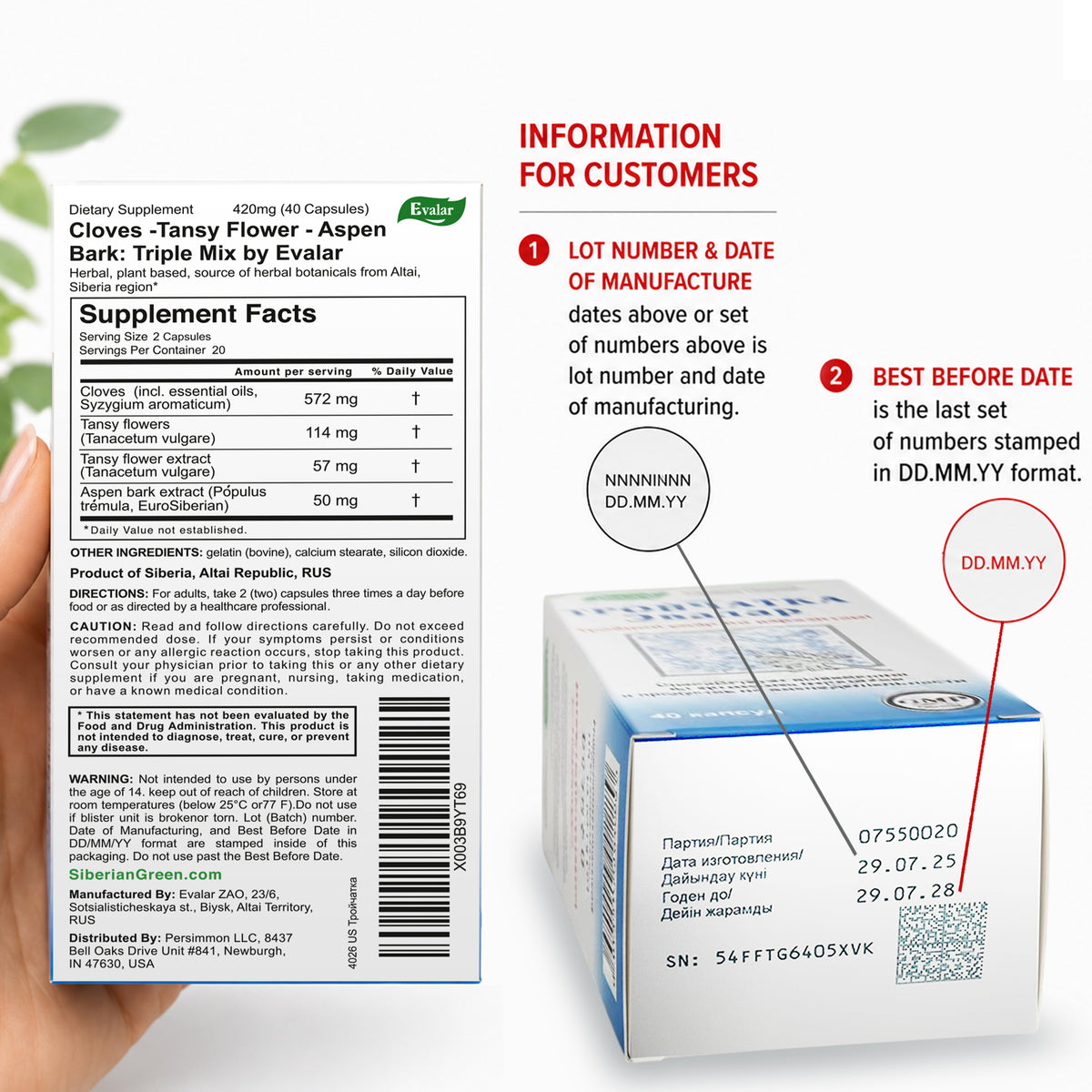 Mélange à base de plantes de clous de girofle, tanaisie et tremble par Evalar 40 capsules
