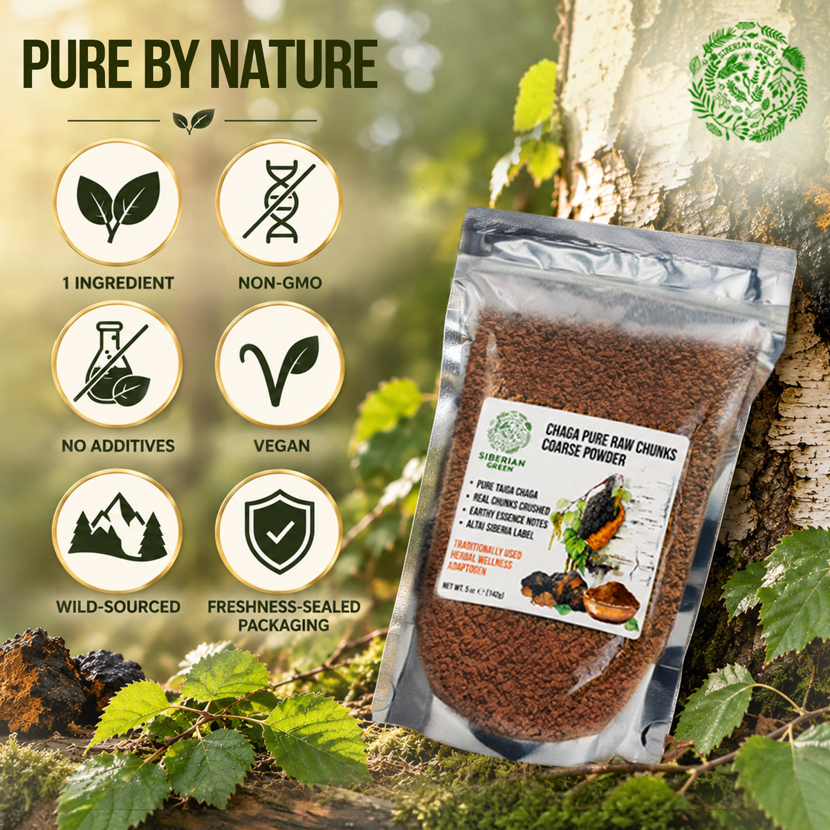 Siberian Green Chaga Mushroom Chunks and Coarse Powder – 142 g – Wildcrafted Superfood  for Daily Canadian Wellness and Natural Energy