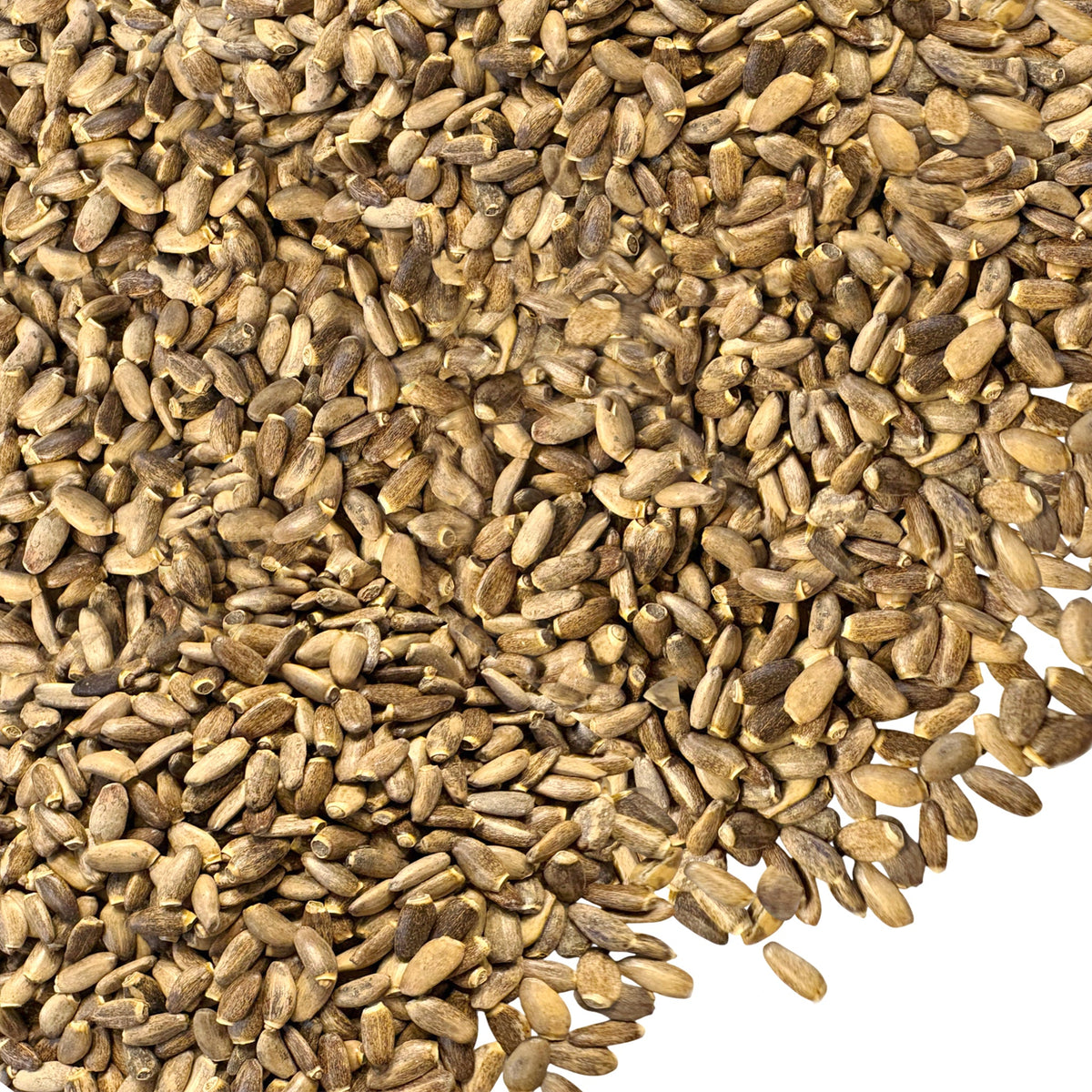 Siberian Green Milk Thistle Seeds Tea Canada Liver Support Antioxidant Rich Silybum Marianum 340 g