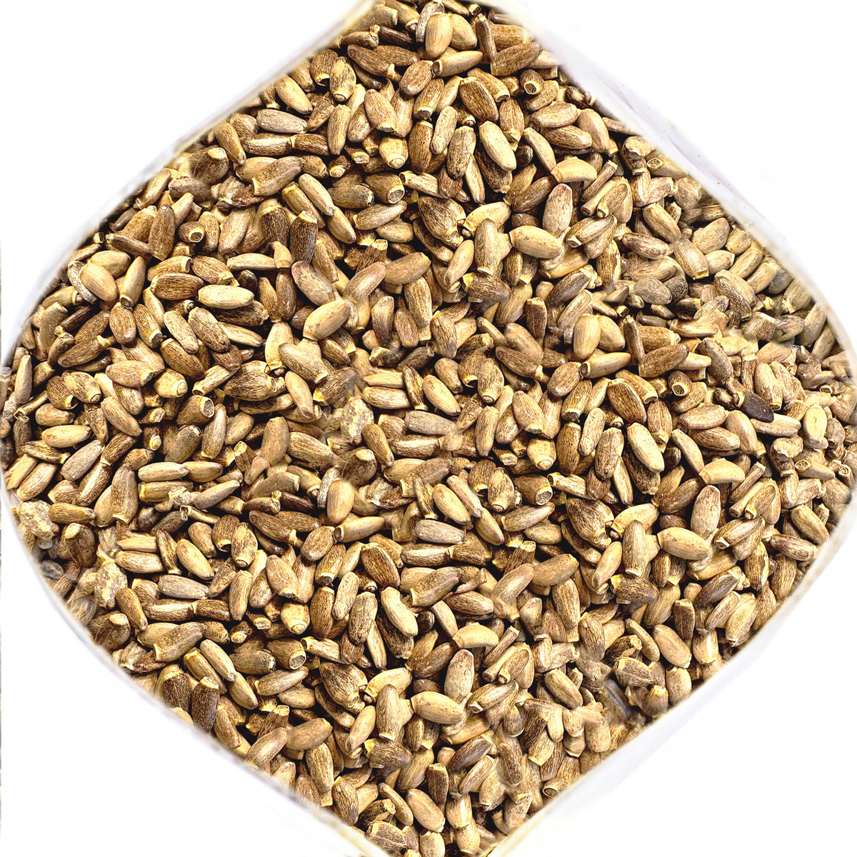 Siberian Green Milk Thistle Seeds Tea Canada Liver Support Antioxidant Rich Silybum Marianum 340 g