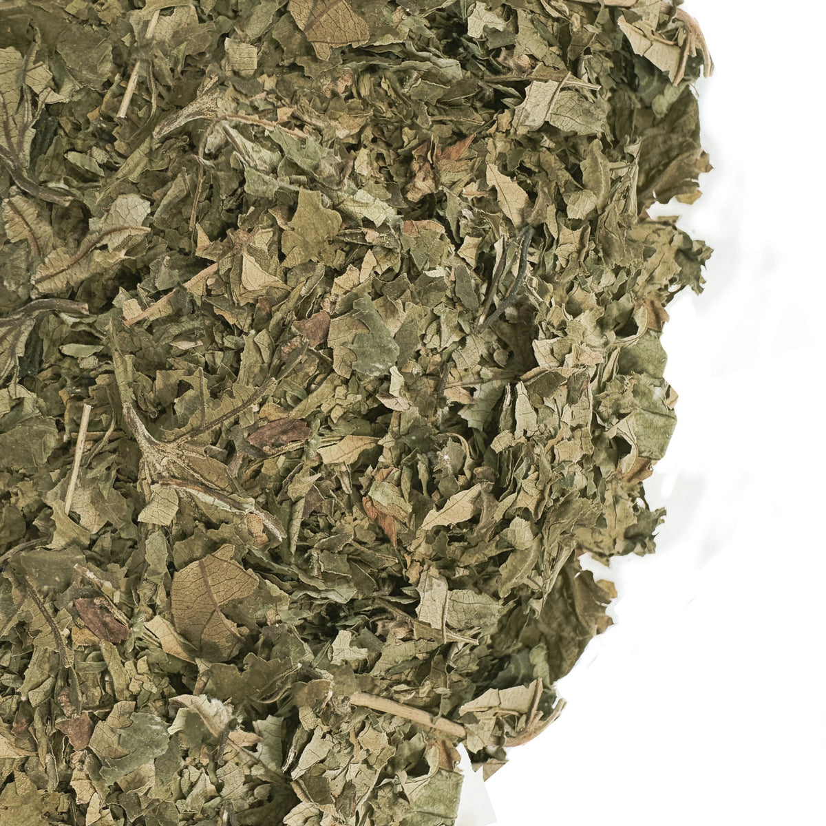 Siberian Green Red Raspberry Leaf Sweet Tea Canadian Natural Womens Wellness Herbal Infusion 113 g