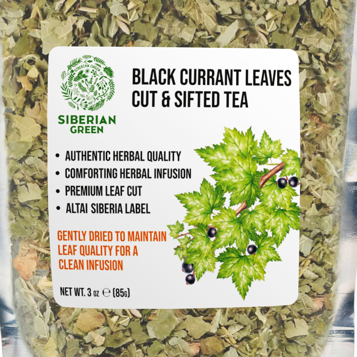 Siberian Green Black Currant Leaf Herbal Tea Smooth Wellness Infusion for Canadians 85 g