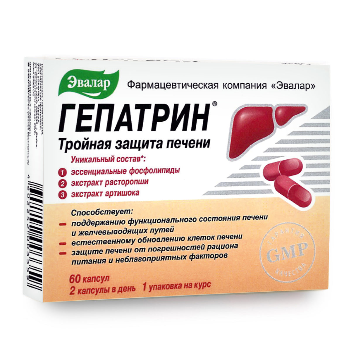 Artichoke & Milk Thistle with Vitamins by Evalar 60 Tabs