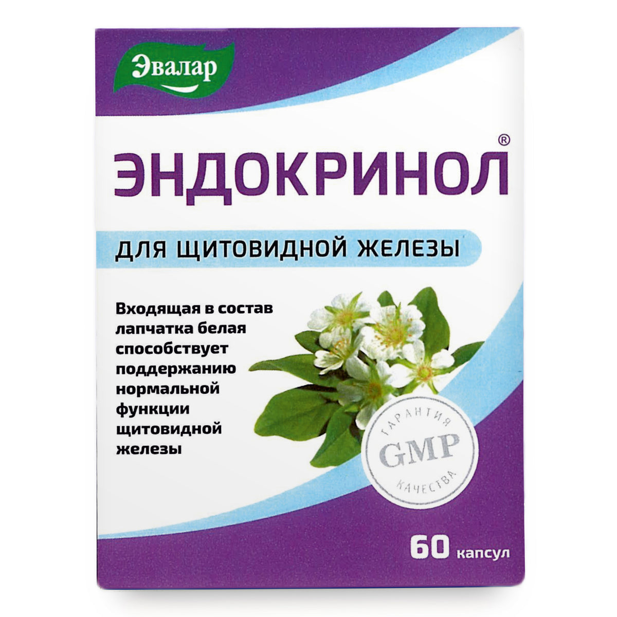 Herbe Potentilla Potentille Blanche par Evalar 60 Caps