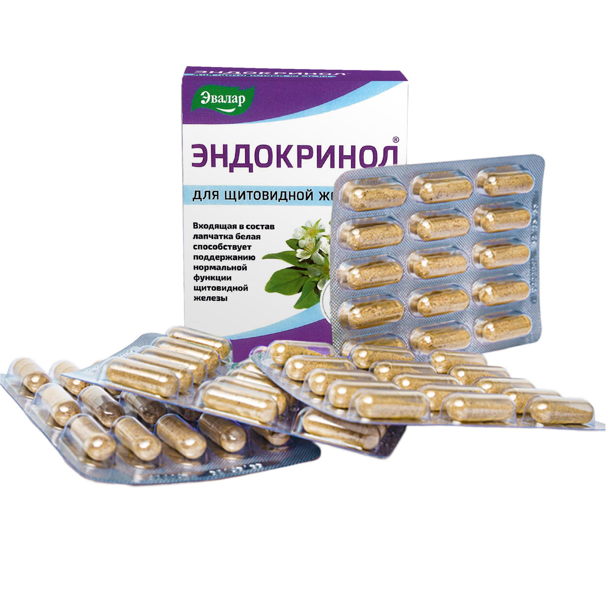 Herbe Potentilla Potentille Blanche par Evalar 60 Caps