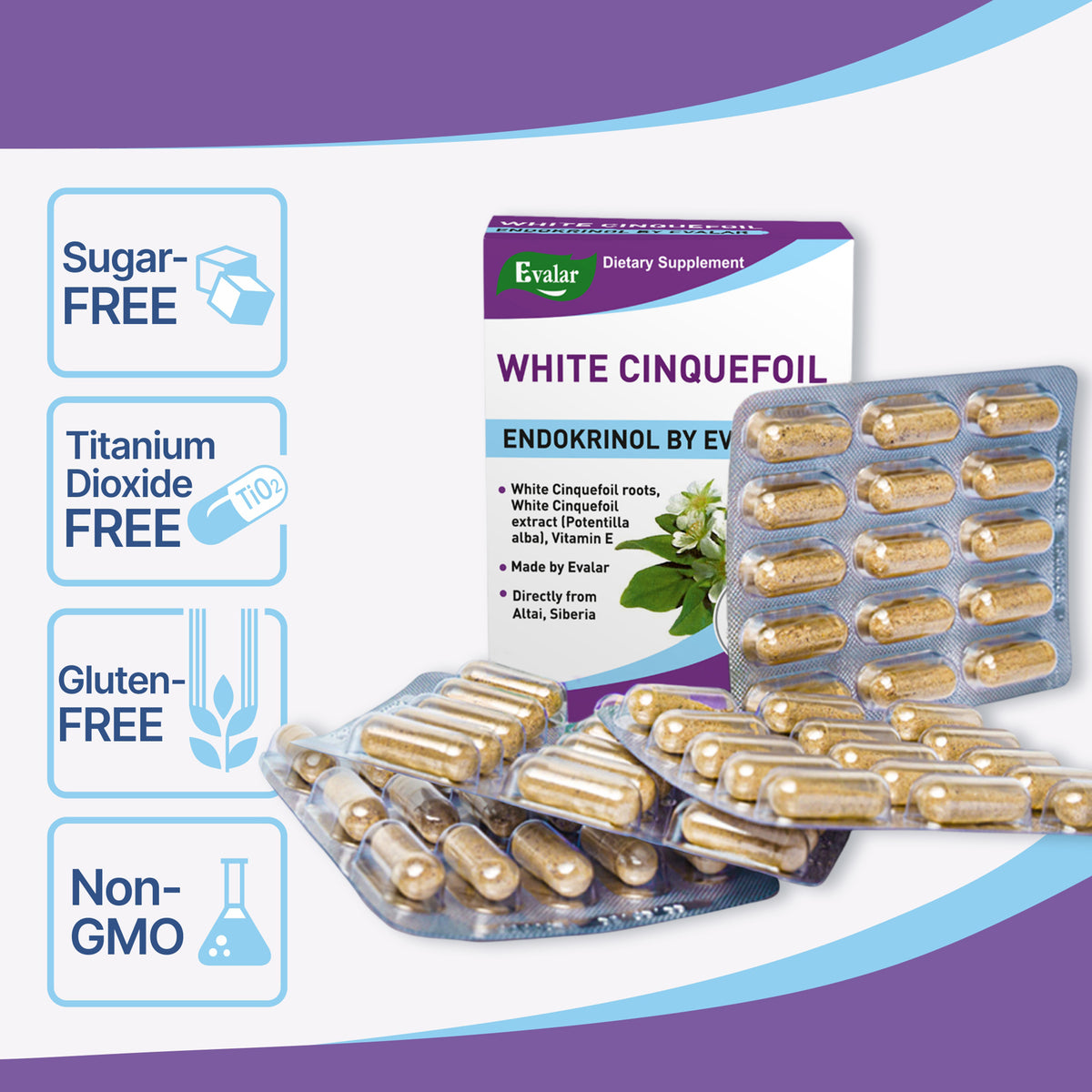 Herbe Potentilla Potentille Blanche par Evalar 60 Caps