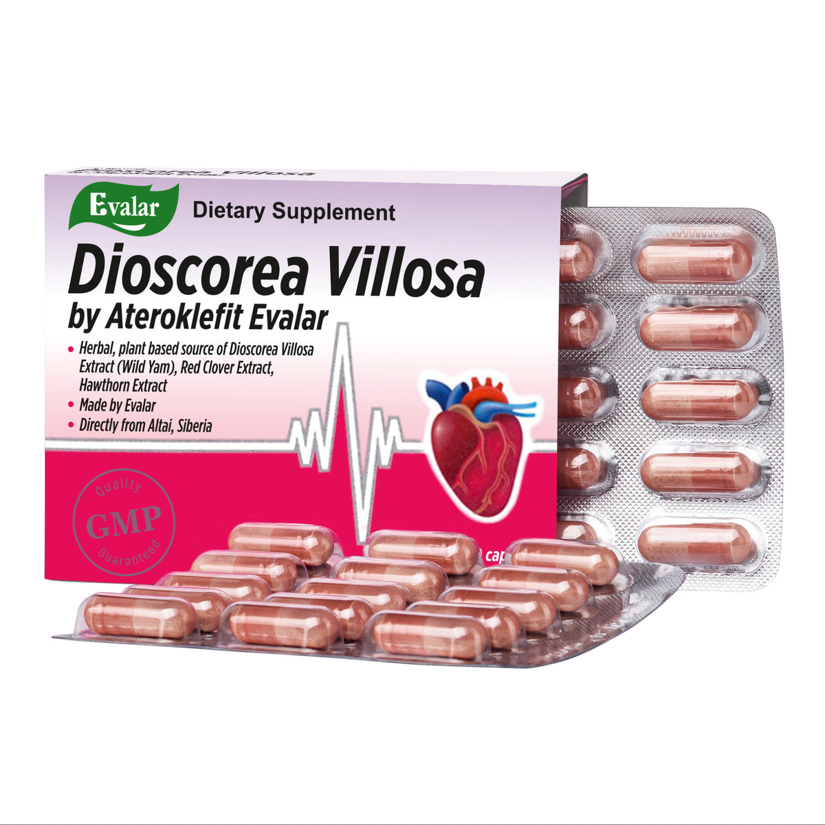 Dioscorea Villosa Wild Yam Trèfle rouge par Evalar Ateroklefit Herb 30 Caps