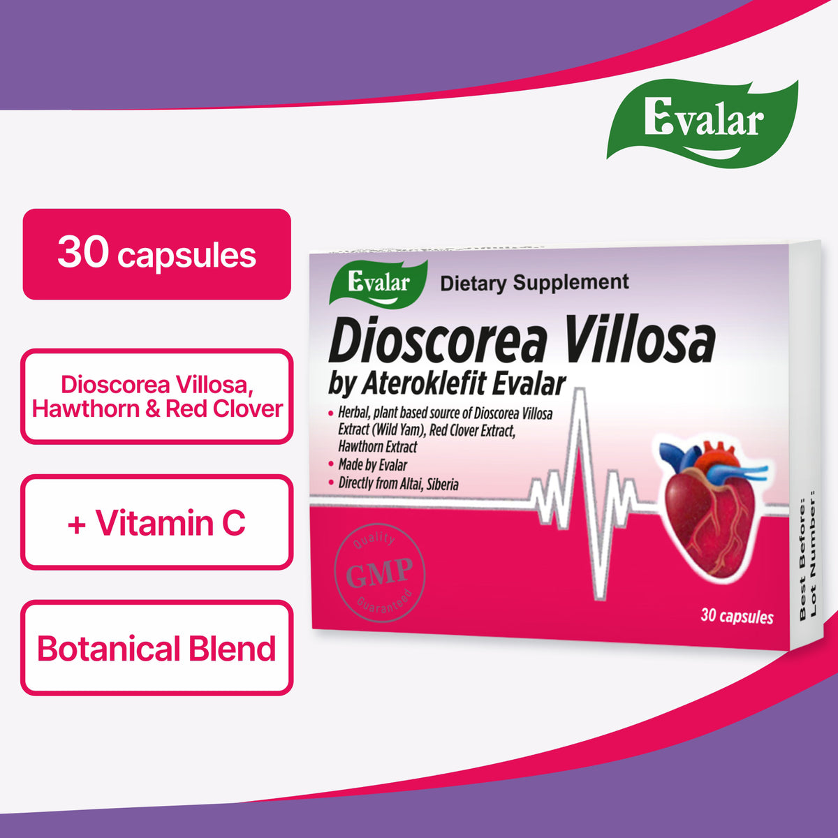 Dioscorea Villosa Wild Yam Trèfle rouge par Evalar Ateroklefit Herb 30 Caps