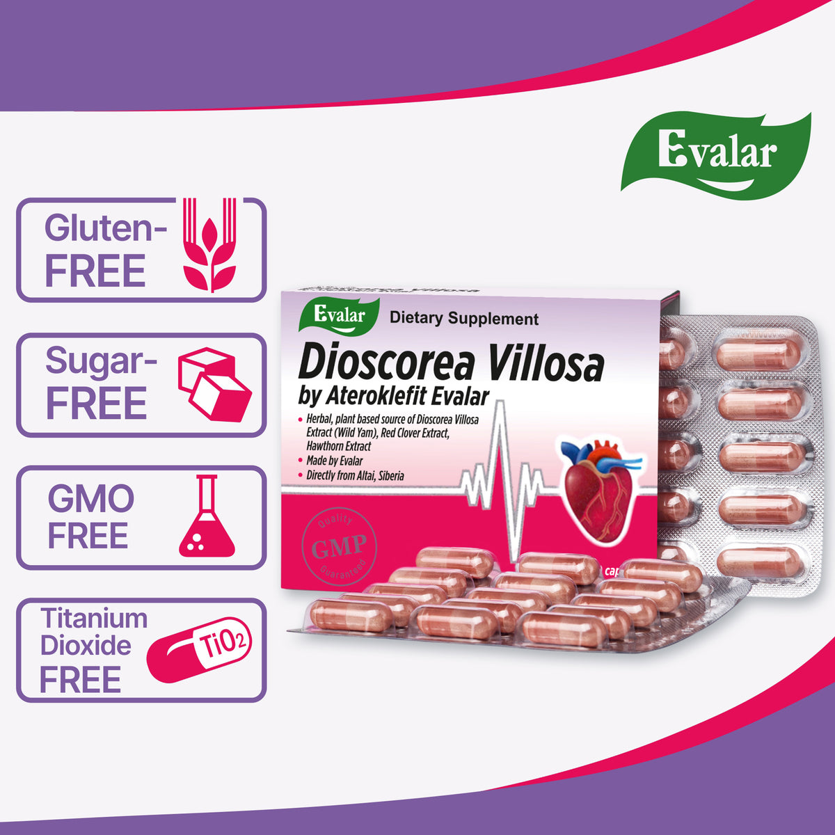 Dioscorea Villosa Wild Yam Trèfle rouge par Evalar Ateroklefit Herb 30 Caps