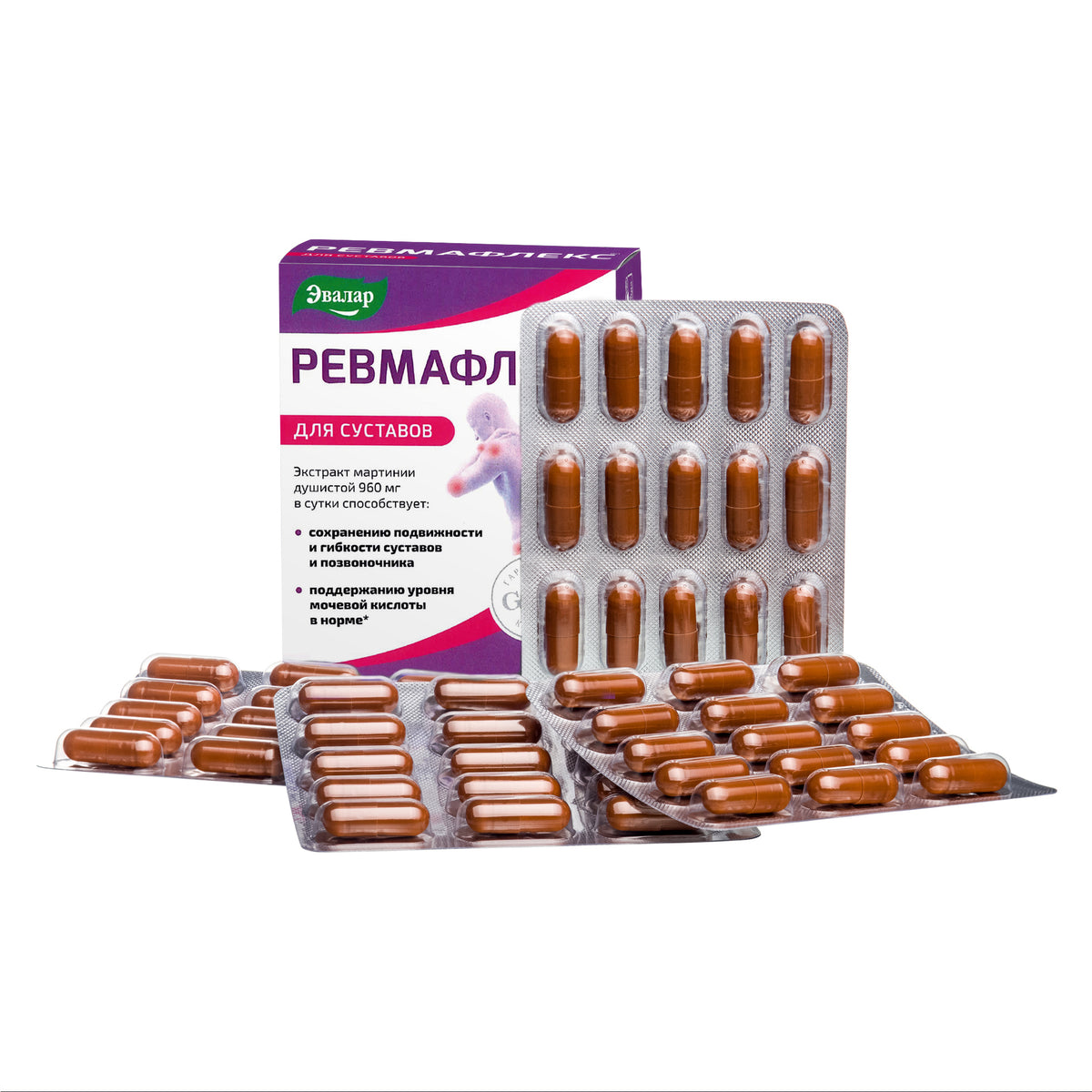 Evalar Martynia Extrait Herbe de Griffe du Diable par Evalar 60 Caps