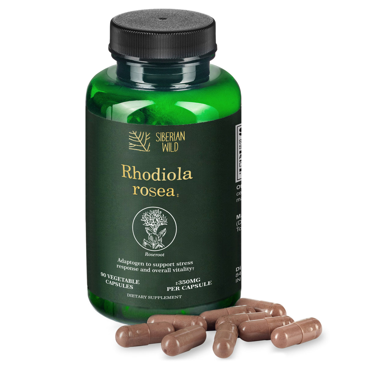Siberian Wild Rhodiola Rosea Capsules – 350mg | Pure Adaptogenic Support