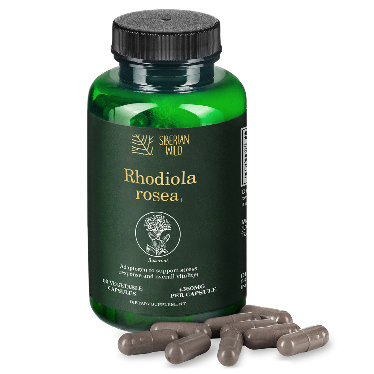 Siberian Wild Rhodiola Rosea Capsules – 350mg | Pure Adaptogenic Support