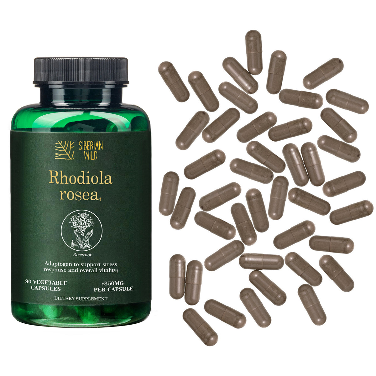 Siberian Wild Rhodiola Rosea Capsules – 350mg | Pure Adaptogenic Support