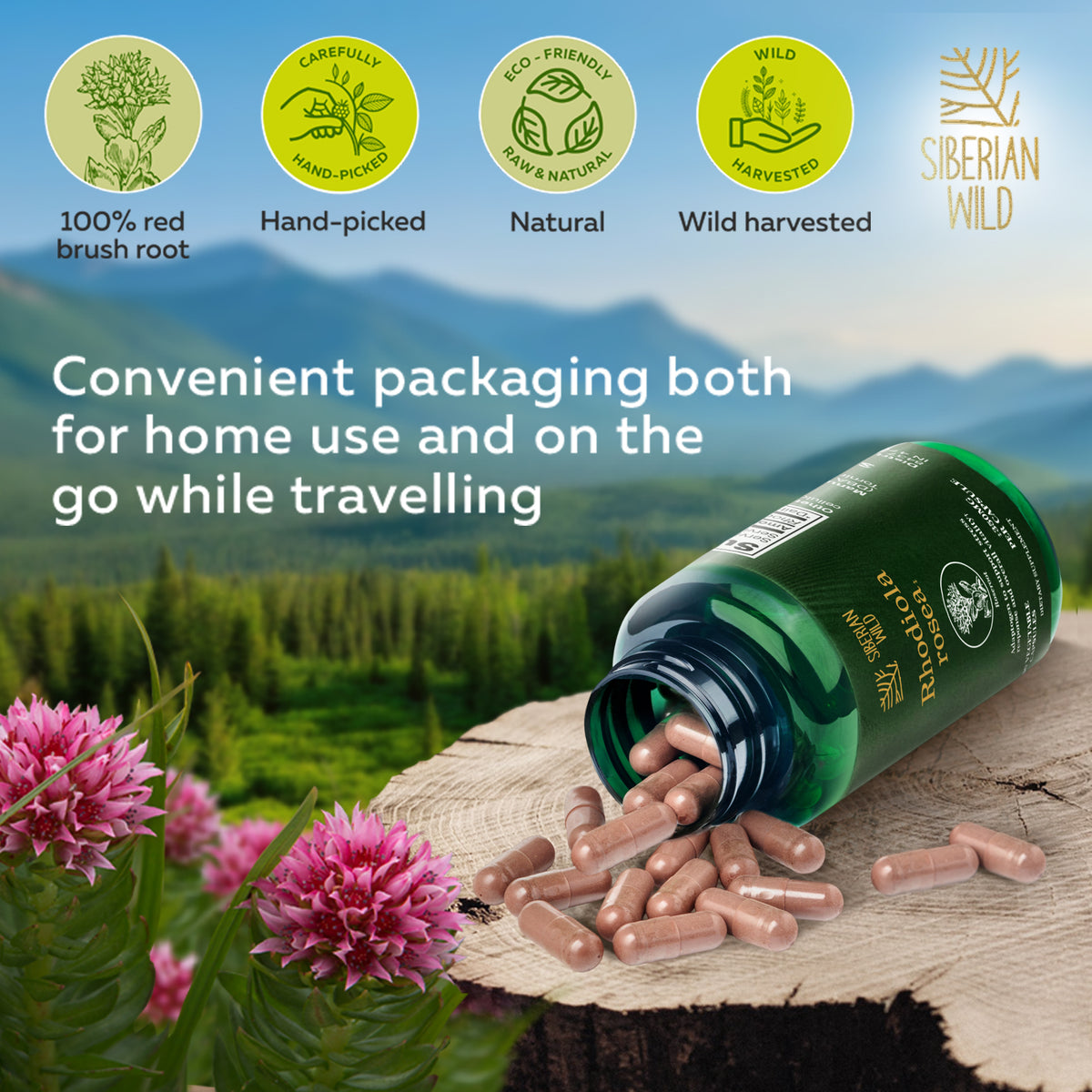 Siberian Wild Rhodiola Rosea Capsules – 350mg | Pure Adaptogenic Support