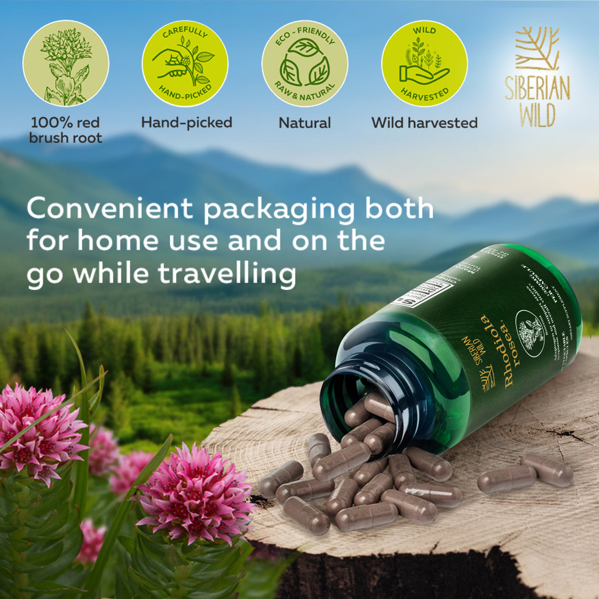 Siberian Wild Rhodiola Rosea Capsules – 350mg | Pure Adaptogenic Support