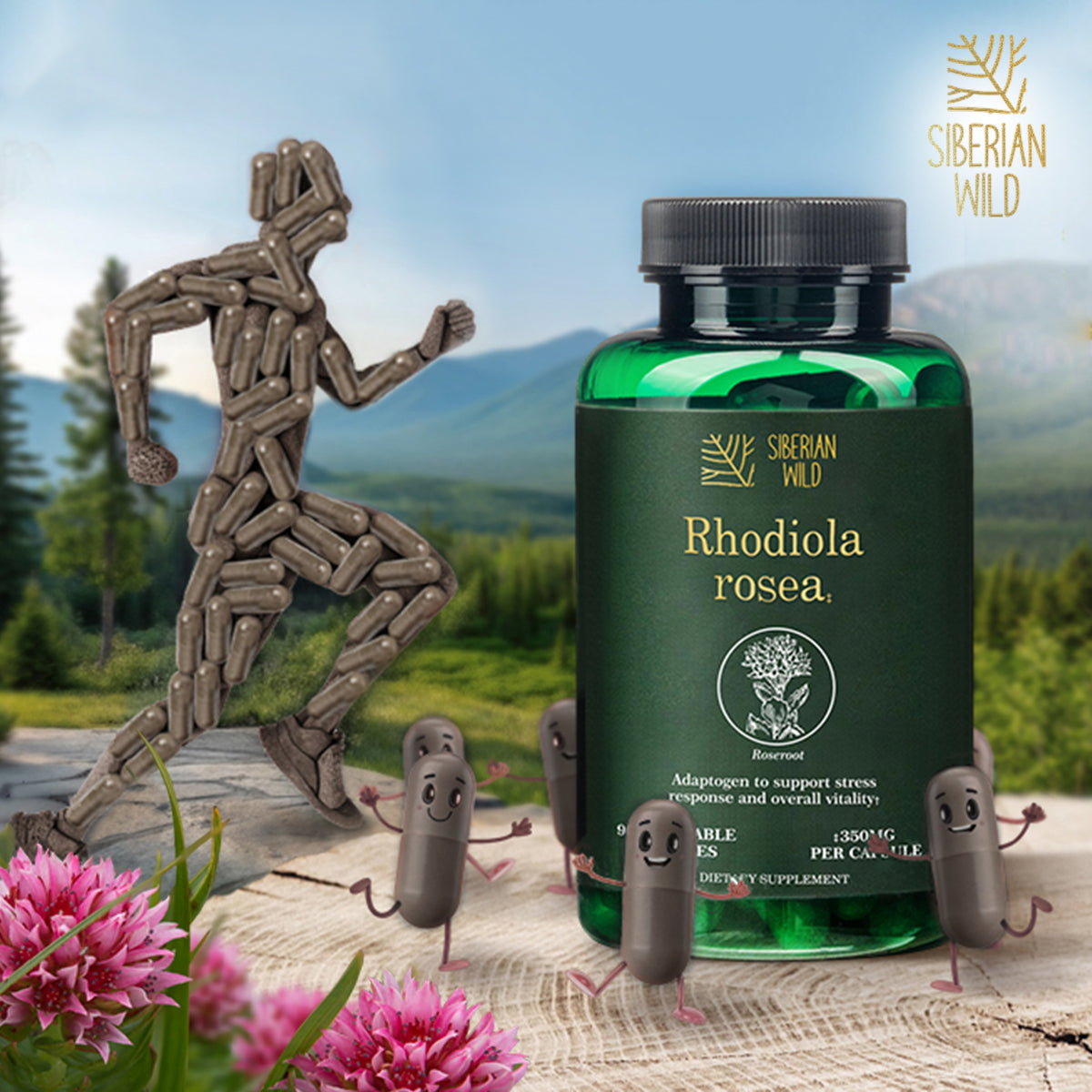 Siberian Wild Rhodiola Rosea Capsules – 350mg | Pure Adaptogenic Support