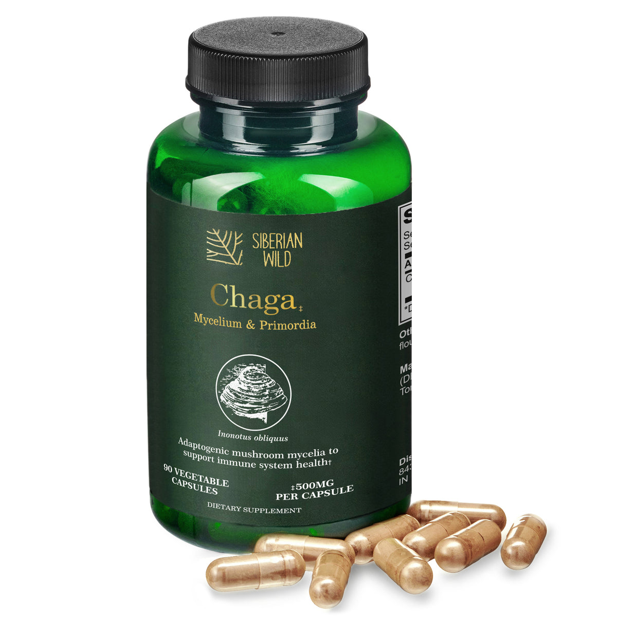 Siberian Wild White Chaga Mushroom Vegan Capsules 1500mg for Immune Support and Energy for Women Men Canada