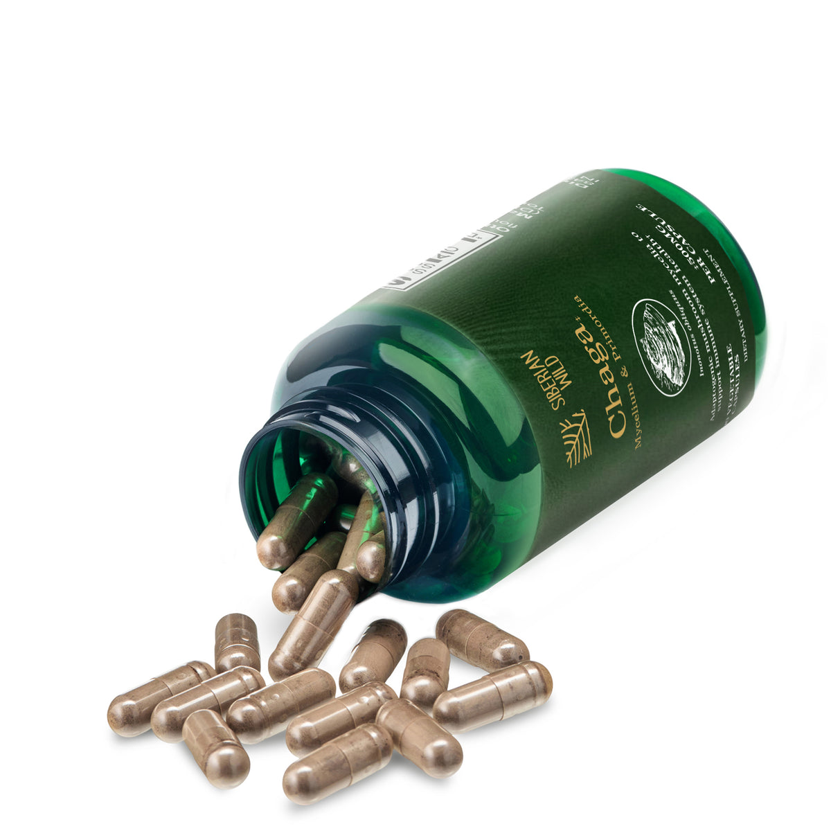 Siberian Wild Chaga Mushroom Capsules - 1500mg | Immune Support