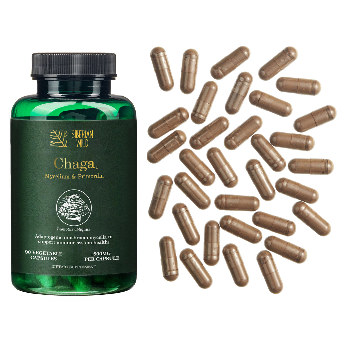 Siberian Wild Chaga Mushroom Capsules - 1500mg | Immune Support