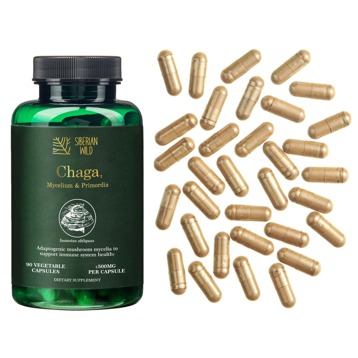 Siberian Wild White Chaga Mushroom Vegan Capsules 1500mg for Immune Support and Energy for Women Men Canada
