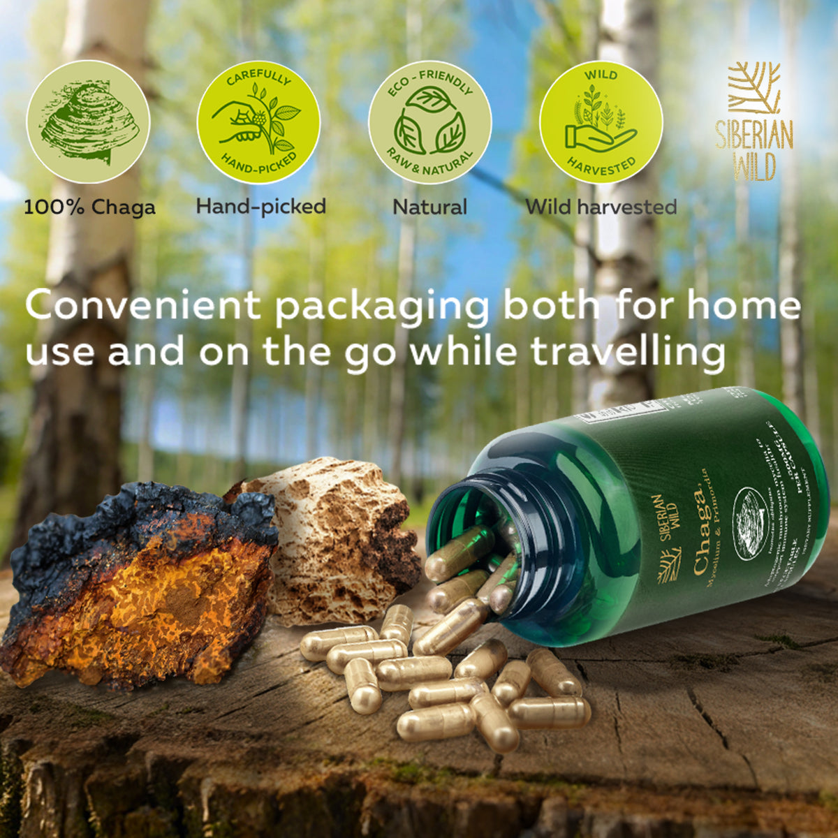 Siberian Wild White Chaga Mushroom Vegan Capsules 1500mg for Immune Support and Energy for Women Men Canada