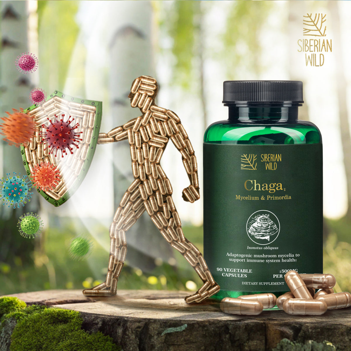Siberian Wild White Chaga Mushroom Vegan Capsules 1500mg for Immune Support and Energy for Women Men Canada
