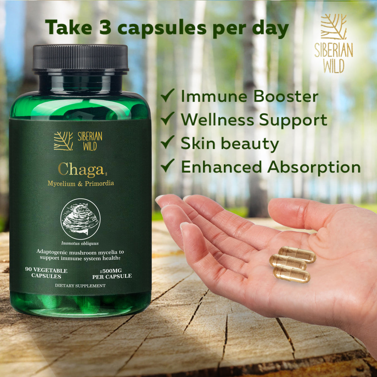 Siberian Wild White Chaga Mushroom Vegan Capsules 1500mg for Immune Support and Energy for Women Men Canada