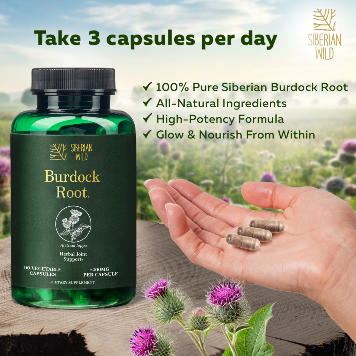 Siberian Wild Burdock Root Capsules – 1200mg