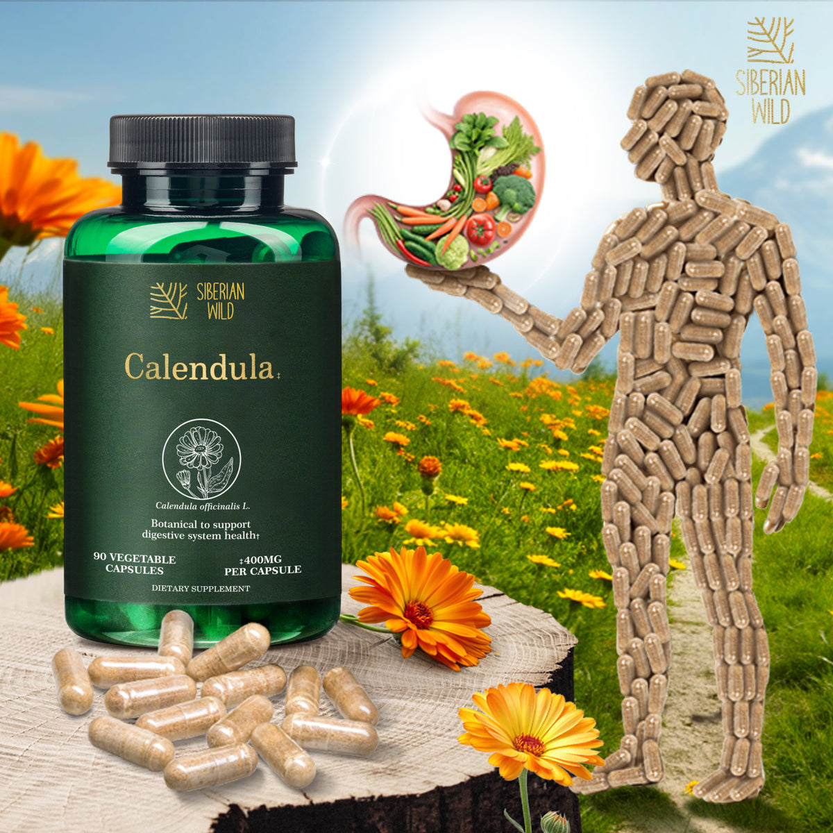 Siberian Wild Calendula Capsules - 1800mg | 90 Vegan Capsules