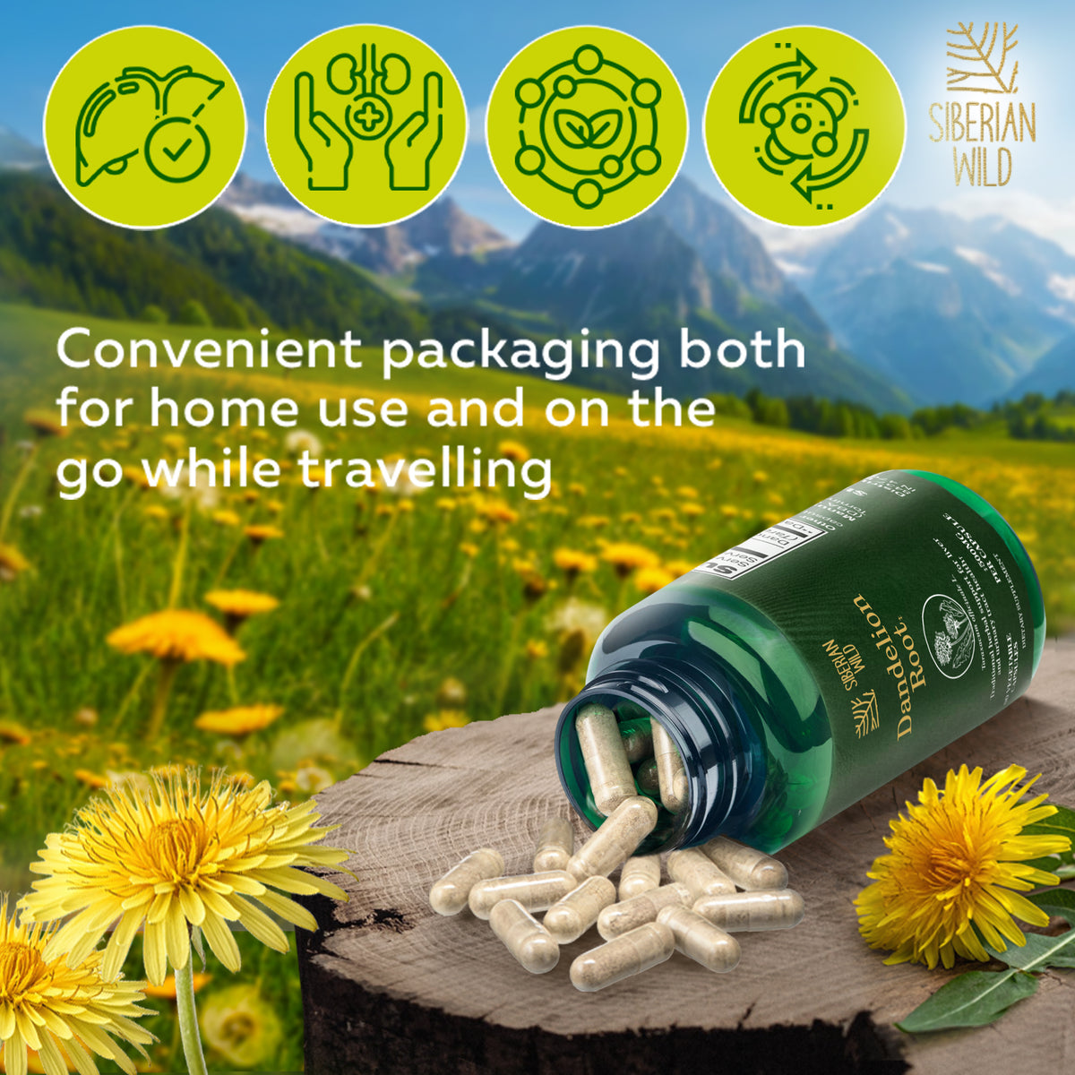Siberian Wild Dandelion Root Extract Capsules – 1500mg | Vegan Liver Support