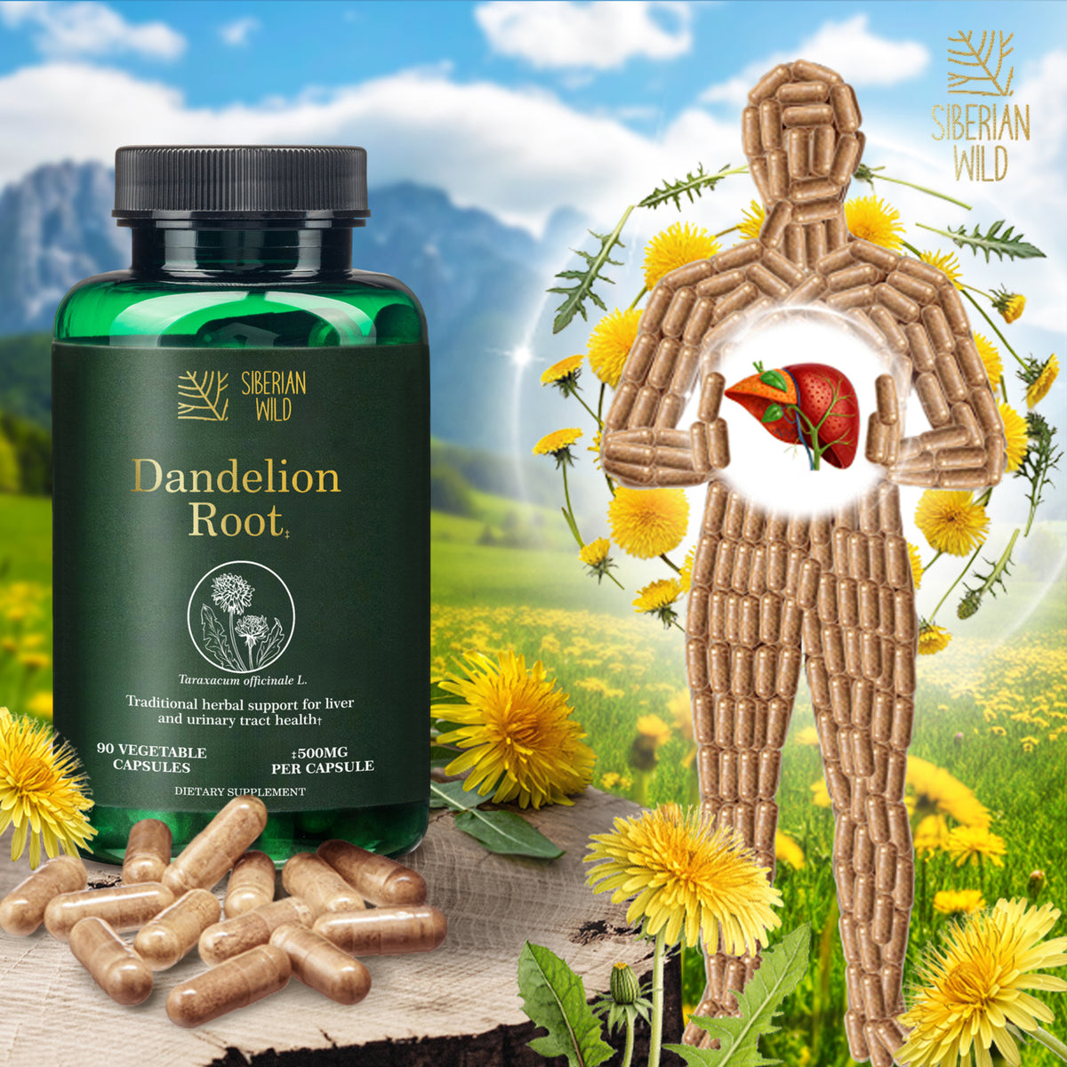 Siberian Wild Dandelion Root Extract Capsules – 1500mg | Vegan Liver Support