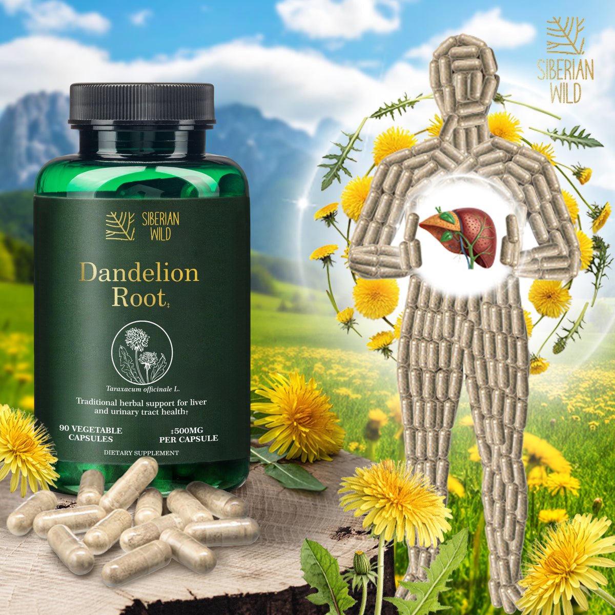 Siberian Wild Dandelion Root Extract Capsules – 1500mg | Vegan Liver Support