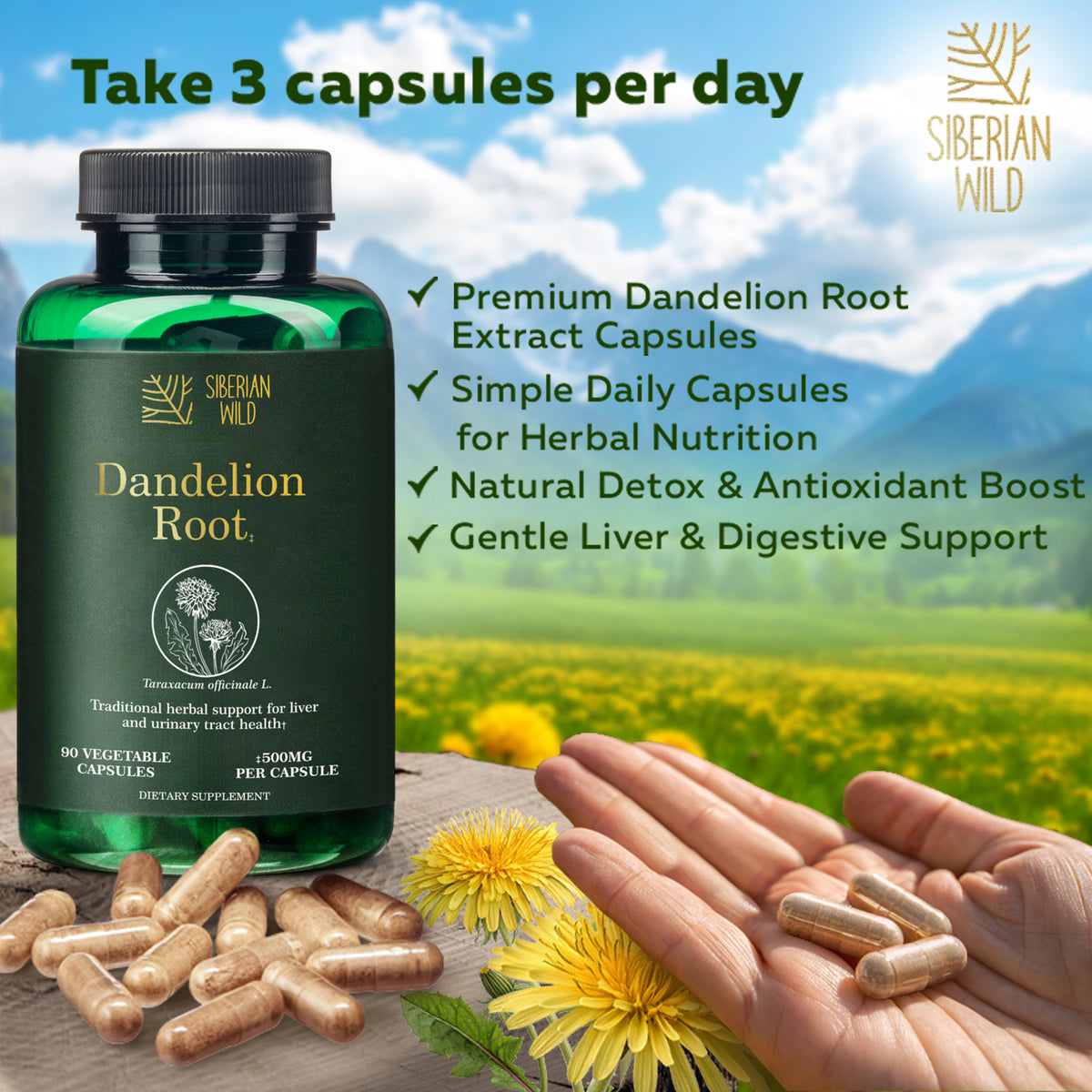 Siberian Wild Dandelion Root Extract Capsules – 1500mg | Vegan Liver Support