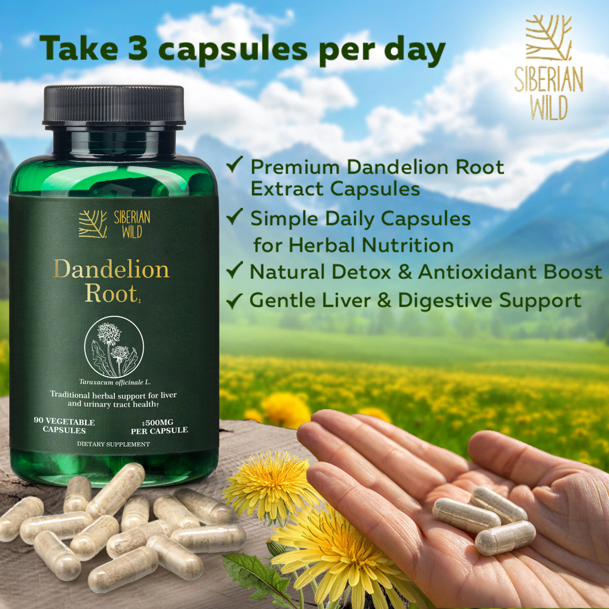 Siberian Wild Dandelion Root Extract Capsules – 1500mg | Vegan Liver Support