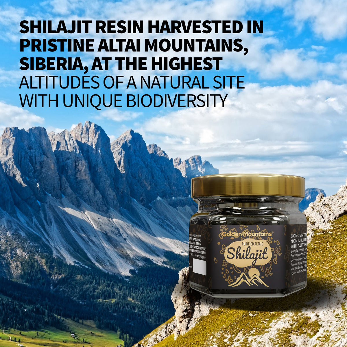 Golden Mountains Shilajit Resin 100g | Pure Natural Altai