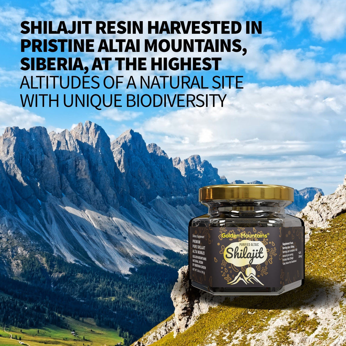 Golden Mountains Shilajit Résine Premium Pure Authentique Sibérie Altaï 100 g 3,53 oz – Cuillère à mesurer – Certificat de qualité exclusif